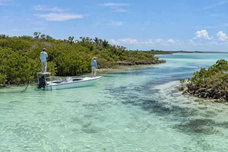 Small flats skiff in a shallow mangrove channel